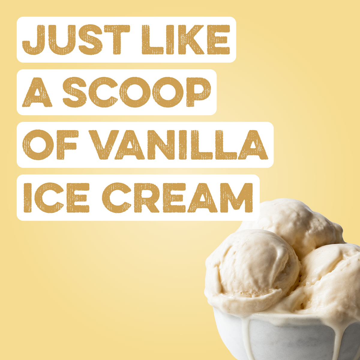 Protein Powder: Simply Vanilla (10 Single Serving Stick Packs)